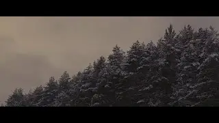 Alina Orlova - Apie Ką Šitas Filmas