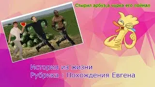 Охрана поймала парня и он получил штраф 5к !