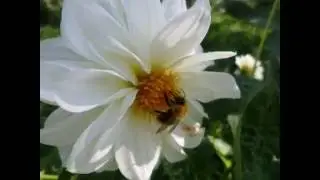 Мое слайд-шоу