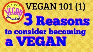 vegan 101 Three Reasons to Consider Becoming a Vegan
