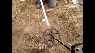 Metal Detector: NOS e300 (Golden Mask 4) Катушка 12х15