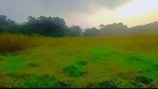 roramjok arataniko 🥰🥰😘