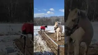 Видео-отзыв Москва . Серпухов номер2