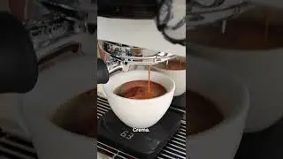 Making a Long Black on La Marzocco Linea Micra