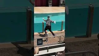 The waddle 😆👏 Mime Seaworld Tom #seaworldmime #funny #tomthemime
