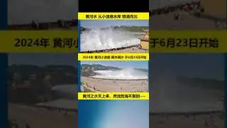🔴2024年黄河の小浪堤水質・土砂規制が6月23日に始まる。小浪堤ダムから湧き出る黄河の水は天から流れ出て海に流れ込み、二度と戻りません。 🌍黄河の小浪堤水利プロジェクトは、黄河最大の貯水容量を持