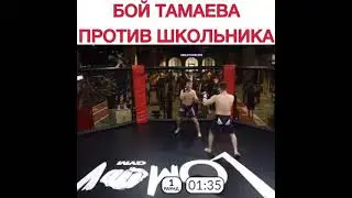 Тамаев против Эстетики. Кто победил?