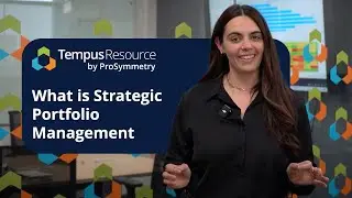 What is Strategic Portfolio Management? [Definition & Examples]