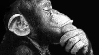 Noisywan - Very Ape [Nirvana cover]
