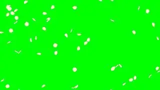 Falling Rose Petals White HD Animation - green screen effect 白いバラの花びら花吹雪