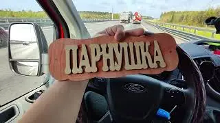 Получил штраф | Парк Дубки в Сестрорецке