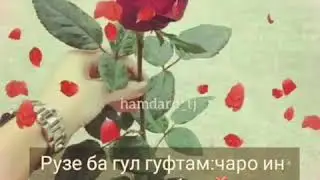 🌹💝💝🤙Рузе ба гул 🌹🌹гуфтам🤙 чаро💖💖 инкадар 💝💝зебои 🤙🤙