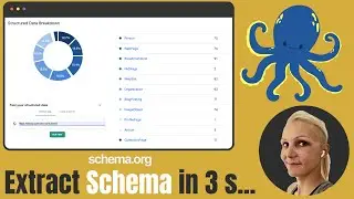 Custom Structured Data Extraction with JetOctopus (Step By Step)