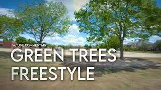 Green Trees and Sunny Skies Freestyle (4K)