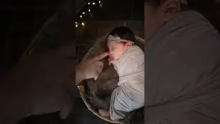 #familyphotography