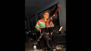 Electric Bassoon Hocket Delay breakout! Sinkyone Intro