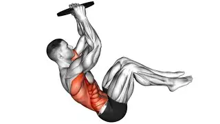 The best exercises for abs muscles