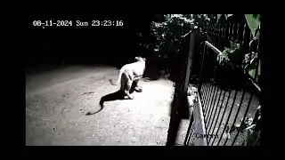 പിറ്റേന്ന് CCTV നോകിയ ചേട്ടൻ പിന്നെ ബോധം വന്നിട്ടില്ല. 🤣🙄🙄😳😳😳😳🤭🤭😆😆