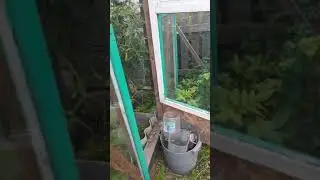 20 июля 2020 г.Теплица из пластиковых бутылок