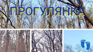 #Прогулянка 🤳 серед 🌳 дерев: ранішня ⛅ #весна та ліс ще без листя, #природа Київської області 4k