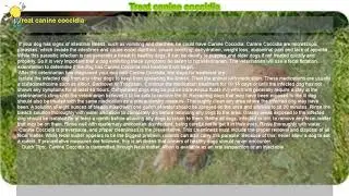 How to : Treat canine coccidia