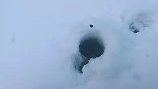 Хариус в глухозим .р Велью 20.02.23 г