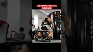 Exercício carga moderada, porção inferior latissimo dorso, formação "árvore de natal"
