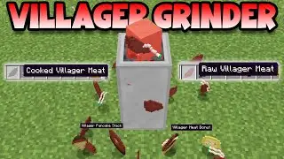 If you HATE Villagers, this mod is for you!