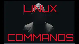 Introduction to Linux and Basic Linux Commands for Beginners