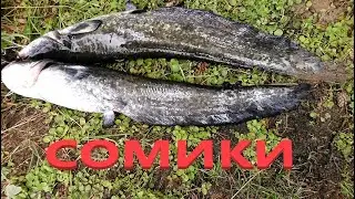ПЕРЕМЕТ НА СОМА РЫБАЛКА ОТДЫХ НА  КАМЕ