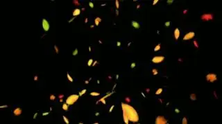 Autumn Leaves Black Screen Status Editing Videos | Black Screen Tamplate Video | #blackscreenstatus
