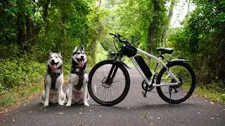 huskies run 20mph with new hoverfly ebike!!
