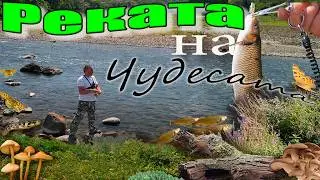 Спининг риболов по река Арда в лятната жега.Spinning fishing on the Arda River in the summer heat.