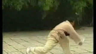 Жи Юэ Цюань (парные кольца солнца и луны).flv