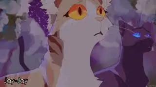 Warriors Cats•Complrte MEP• 143
