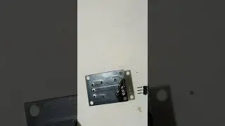 Relay Module 
