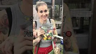 Check on the Monsters w/ Me: FULL VERSION