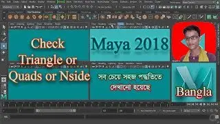 How do we check a 3D model has a triangle or Quads or Nside