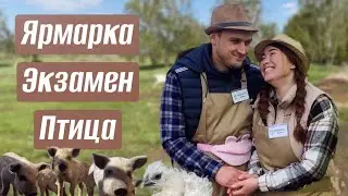 События этой недели: Есть, чем поделиться!