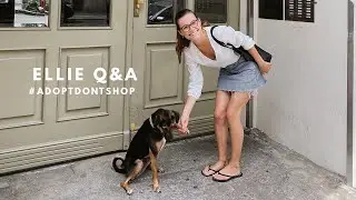 ELLIE Q&A