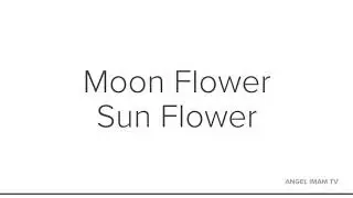 Moon Flower Sun Flower Angel Imam Tv Exclusive