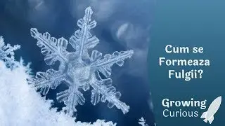 Cum se Formeaza Fulgii?
