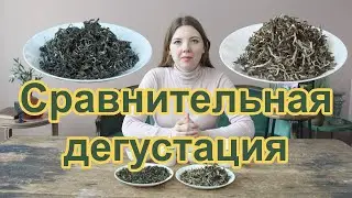 Чем отличается чай Юньнань Маофэн от чая Белая обезьяна?