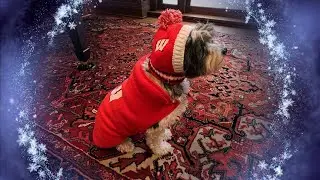 UW–Madison's holiday card 2022