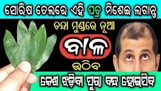 ସୋରିଷ ତେଲରେ ଏହି ପତ୍ର ମିଶେଇ ଲଗାନ୍ତୁ, ଚନ୍ଦା ମୁଣ୍ଡରେ ବାଳ ଉଠିବ | Home Remedies for Hair Fall Control