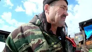 Достал картофель с погреба.