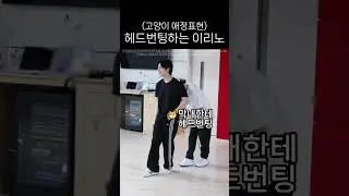 헤드번팅하는 이리노 [스트레이키즈/리노]