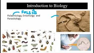 Grade 9 Biology Ch-1 lec 1 Branches of Biology -Ch Introduction to Biology