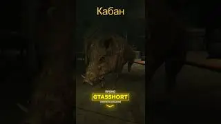 Пингвино из Чернобыля #gta5rpshorts #shorts #гта5 #мем #memes