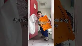 Quand un pitbull de 50 kg arrive